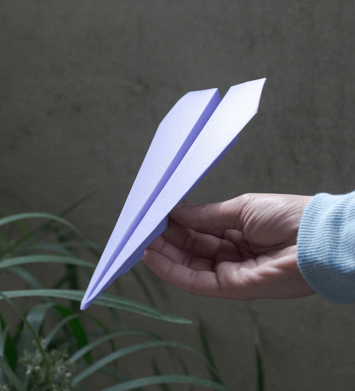 Kagazi: A hand holding a purple colour paper plane