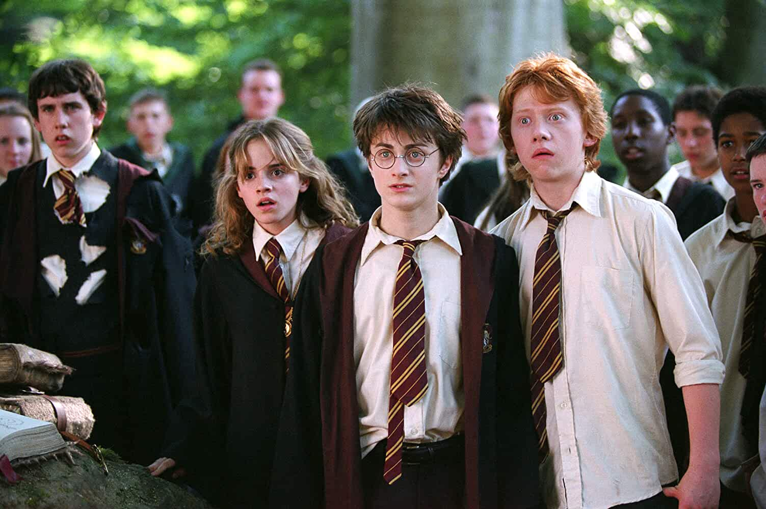 Harry Potter Series: Emma Watson, Daniel Radcliffe, Rupert Grint