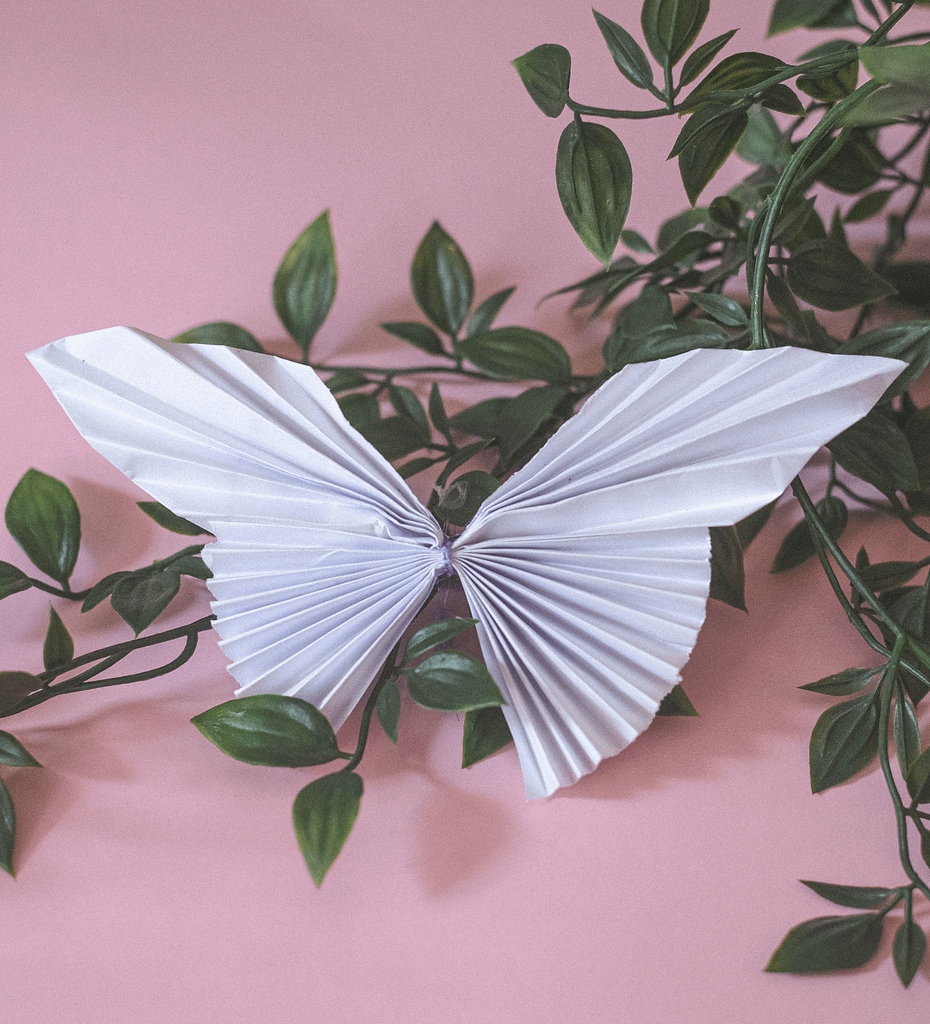 Kagazi: A white colour paper butterfly on a pink background